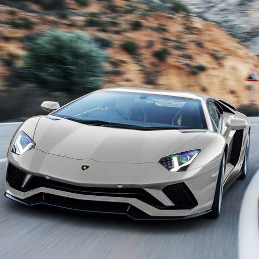 Real Car Racing 1.01