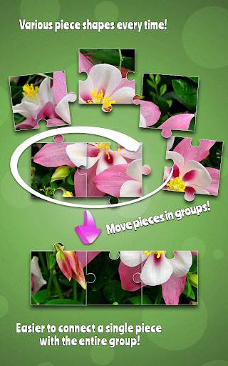Flowers Jigsaw Puzzle Game screenshot 6