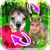Face Swap Booth on 9Apps