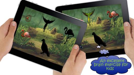Real Birds Puzzle स्क्रीनशॉट 2