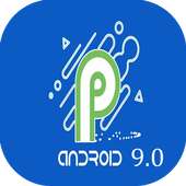 Android Version Update : Update Your Phone