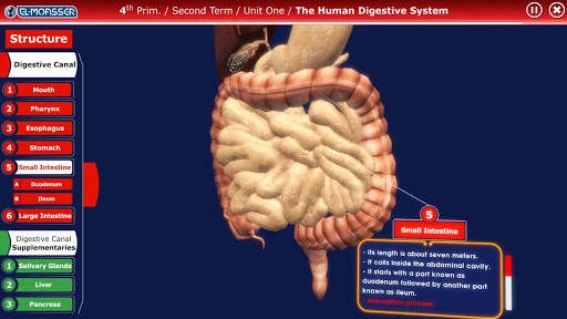 El-Moasser Digestive System 3D screenshot 4
