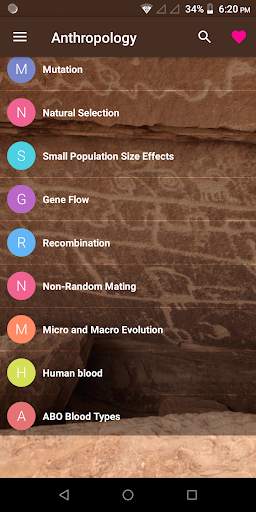 Anthropology screenshot 3