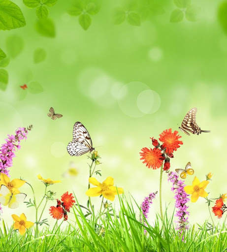 Beautiful Garden Wallpaper screenshot 7