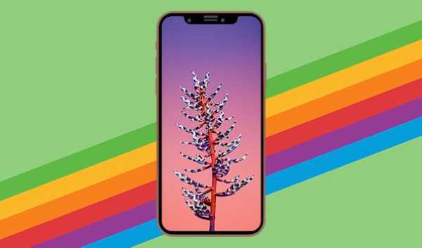 Wallpaper for Iphone x / xs / xs max / xr 3 تصوير الشاشة