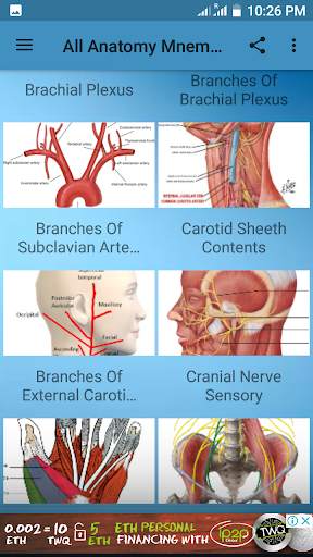 All Anatomy Mnemonic screenshot 1