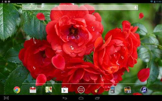 Red Roses Live Wallpaper screenshot 3