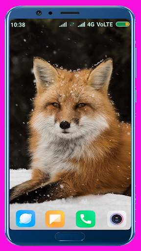 Fox Wallpaper Best 4K screenshot 3