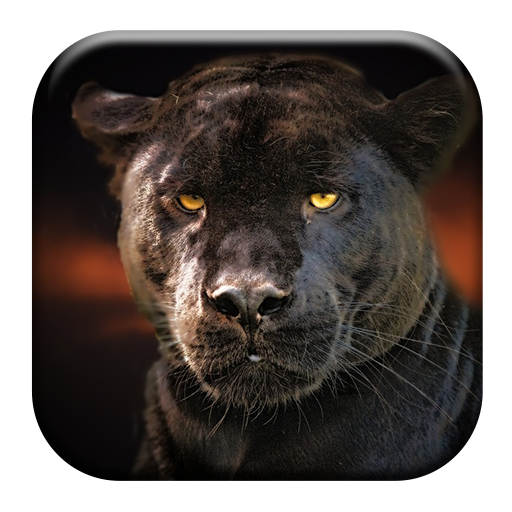 Black Panther Sounds icon