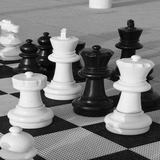 3D Chess Titans Offline 1.10