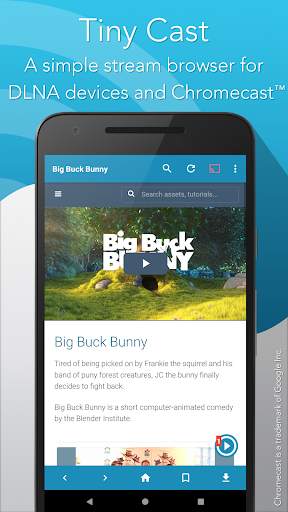 Tiny Cast Browser - Cast to Chromecast / DLNA скриншот 1