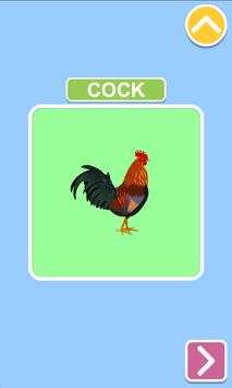 Birds 2  स्क्रीनशॉट 2