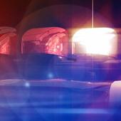 Police Lights icon