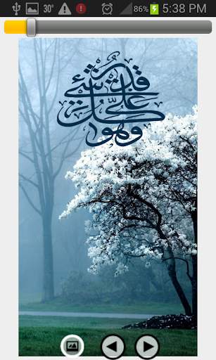 Islamic LWP Pack screenshot 5