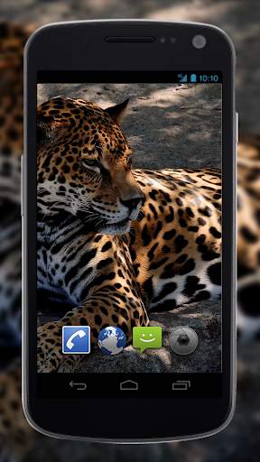 4K Jaguar Live Wallpaper screenshot 4