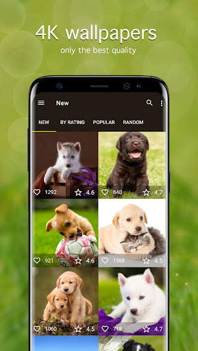 Puppy Wallpapers 4K screenshot 1