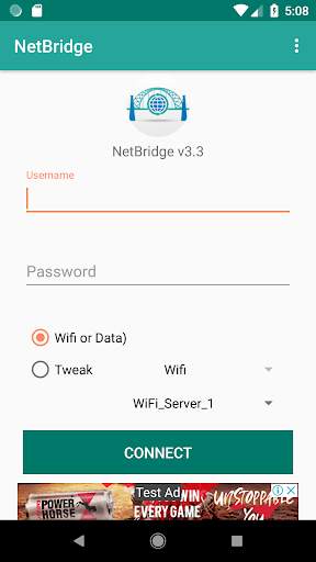 NetBridge VPN 1 تصوير الشاشة