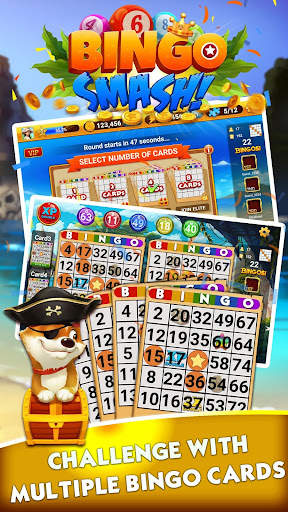 Bingo Smash Lucky Bingo Travel screenshot 4