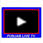 Punjab Live TV 3.1