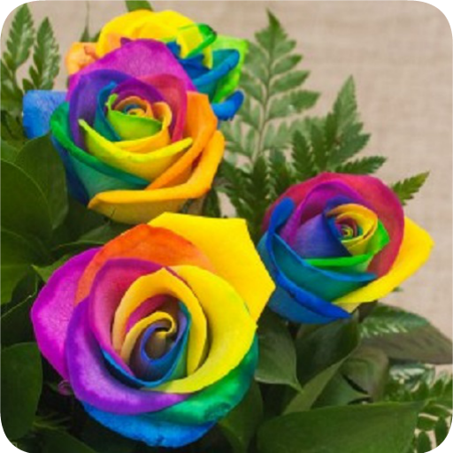 ikon Hermosas Flores de Colores