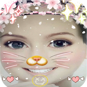 الاداه القطه الكاميرا الوجه 2018 أيقونة