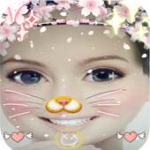 الاداه القطه الكاميرا الوجه 2018 on 9Apps