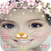 filters for snapcat catchat 2018 1.5