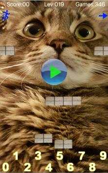 taquito game - math free game screenshot 4