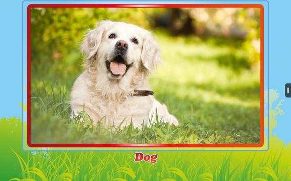 Animal Riddles for Kids screenshot 18