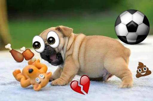 Emoji Photo Sticker Maker Pro screenshot 2