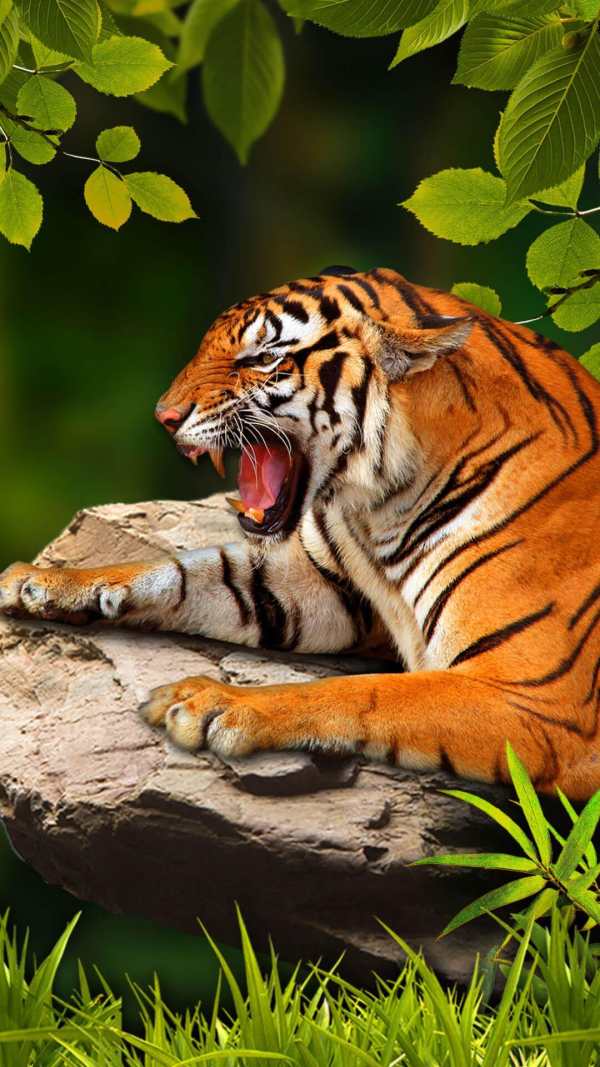 Tiger Live Wallpaper 2018 screenshot 3