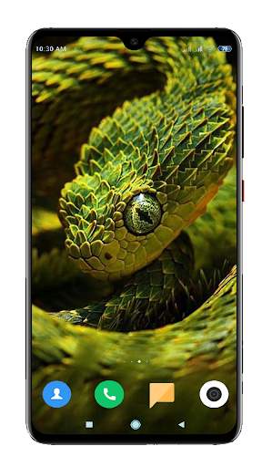 Snake Wallpaper HD screenshot 7