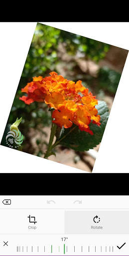Photo Editor TE screenshot 4