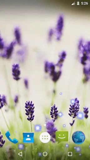Lavender Live Wallpaper 1 تصوير الشاشة