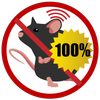 Anti Rat Repeller - Rat repellent sound icon