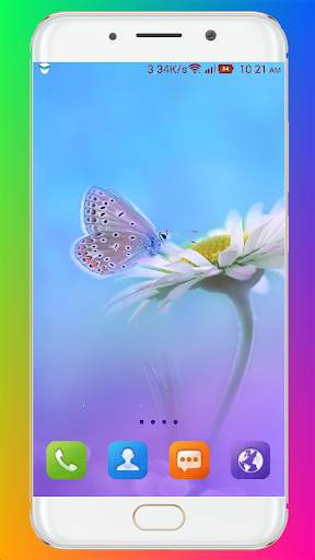 Butterfly Wallpaper HD screenshot 3