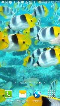 Ocean Fish Live Wallpaper screenshot 4