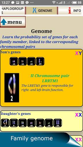 QUIS. Family Genetics. screenshot 8