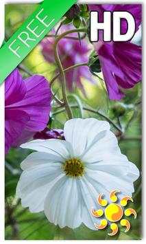 Summer Flowers Live HD screenshot 1