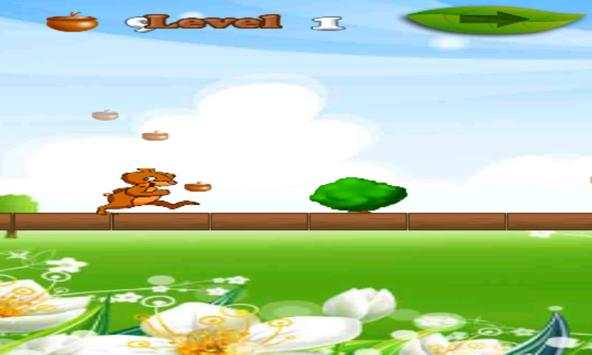 Squirrel run screenshot 6