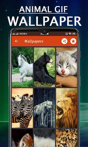 Animal Gif Stickers screenshot 9