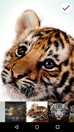 Tiger Lock Screen 6 تصوير الشاشة