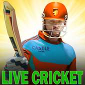 3D Live Cricket & Cricket Game 1.1