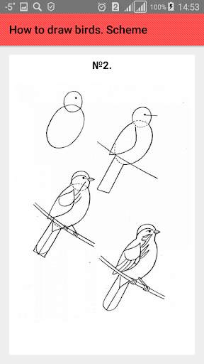 How to draw birds. Scheme screenshot 3