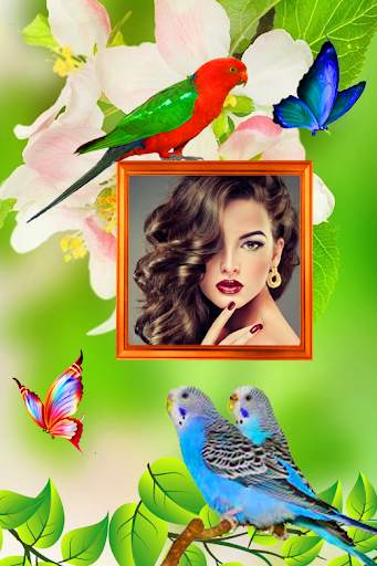 Love Birds Photo Frames screenshot 4
