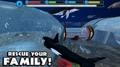 Orca Simulator screenshot 4
