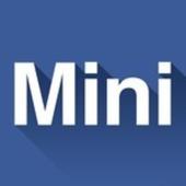 Mini Facebook icon