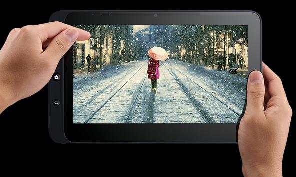 Professional digital camera screenshot 2