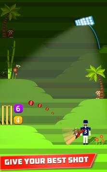 Mr. Bat: The Cricket Game screenshot 10