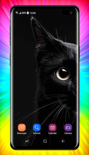 Black Wallpaper screenshot 7